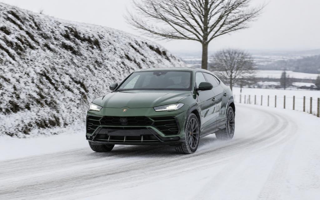 Urus glijdt op een besneeuwde helling